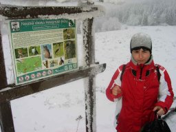 silvestr 2007